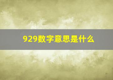 929数字意思是什么