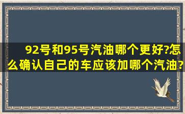 92号和95号汽油哪个更好?怎么确认自己的车应该加哪个汽油?