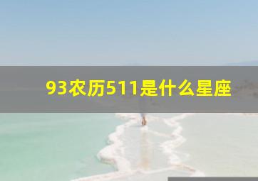 93农历511是什么星座