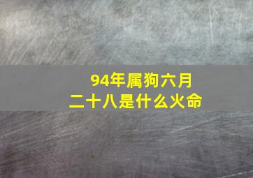 94年属狗六月二十八是什么火命