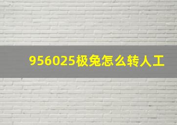 956025极兔怎么转人工(