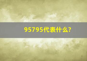 95795代表什么?