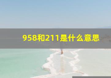 958和211是什么意思