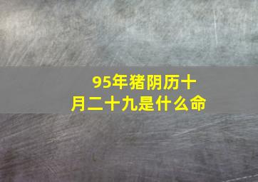 95年猪阴历十月二十九是什么命