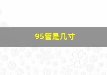 95管是几寸(