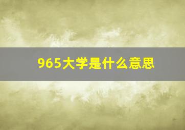 965大学是什么意思