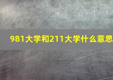 981大学和211大学什么意思