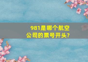 981是哪个航空公司的票号开头?