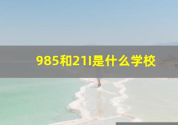 985和21I是什么学校