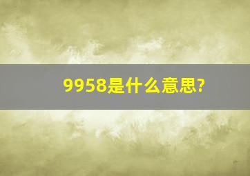 9958是什么意思?