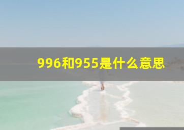 996和955是什么意思