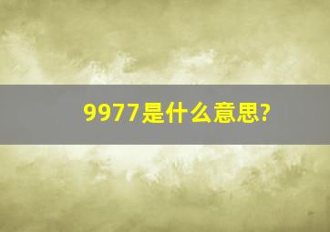 9977是什么意思?