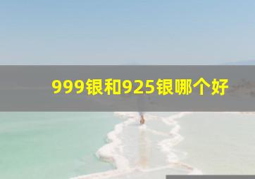 999银和925银哪个好