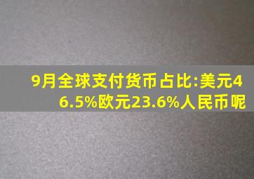 9月全球支付货币占比:美元46.5%,欧元23.6%,人民币呢