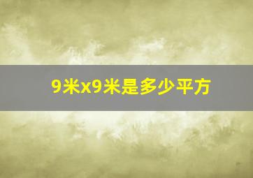 9米x9米是多少平方