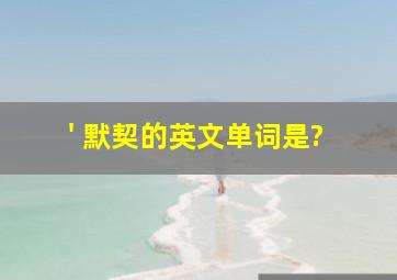 ; ' 默契的英文单词是?