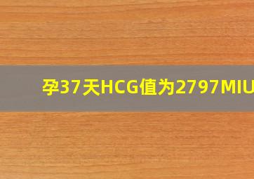 ;孕37天,HCG值为2797MIU/ML