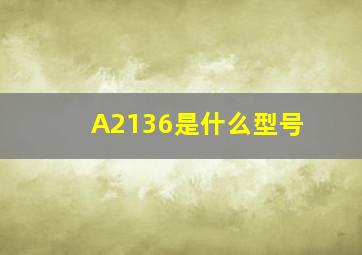 A2136是什么型号