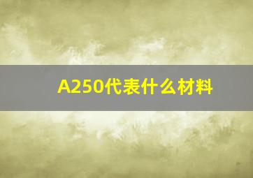 A250代表什么材料