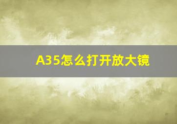 A35怎么打开放大镜(