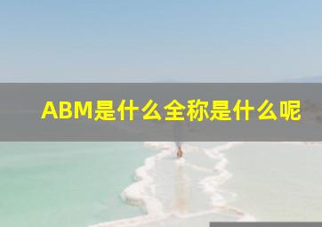 ABM是什么(全称是什么呢(