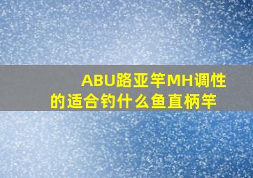 ABU路亚竿MH调性的适合钓什么鱼直柄竿