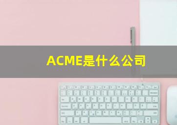 ACME是什么公司