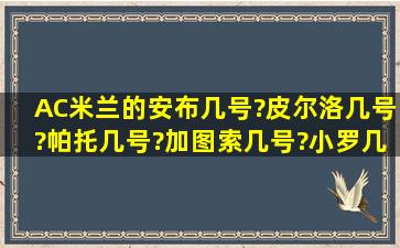 AC米兰的安布几号?皮尔洛几号?帕托几号?加图索几号?小罗几号?...