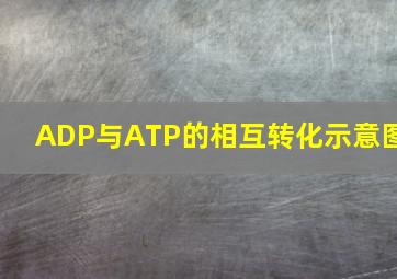 ADP与ATP的相互转化示意图