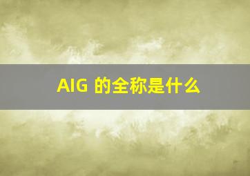 AIG 的全称是什么