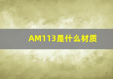 AM113是什么材质