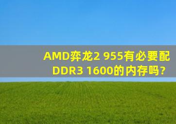 AMD弈龙2 955有必要配DDR3 1600的内存吗?