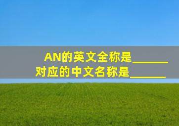 AN的英文全称是______,对应的中文名称是______。