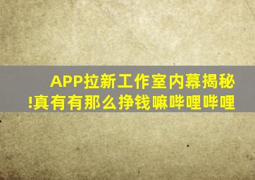 APP拉新工作室内幕揭秘!真有有那么挣钱嘛哔哩哔哩