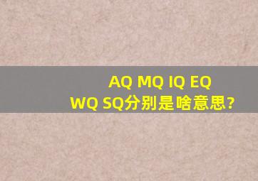 AQ MQ IQ EQ WQ SQ分别是啥意思?