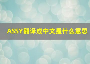 ASSY翻译成中文是什么意思