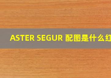 ASTER SEGUR 配图是什么红酒