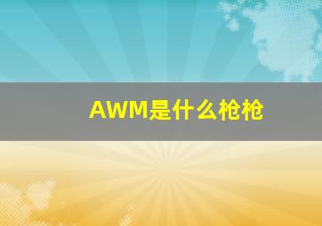 AWM是什么枪枪