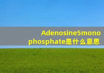 Adenosine5monophosphate是什么意思