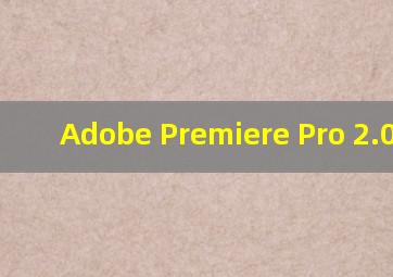 Adobe Premiere Pro 2.0插件
