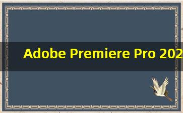 Adobe Premiere Pro 2021 for Mac v15.1.0 Pr免激活版 中文破解版...
