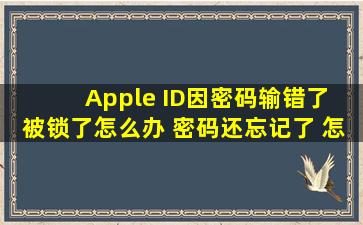 Apple ID因密码输错了 被锁了。怎么办 密码还忘记了 怎么解锁啊 求...