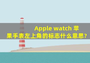 Apple watch 苹果手表左上角的标志什么意思?