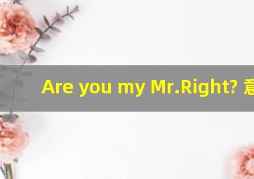 Are you my Mr.Right? 意思
