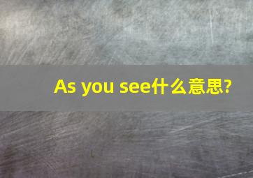 As you see什么意思?