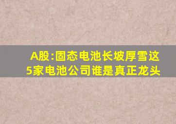 A股:固态电池长坡厚雪,这5家电池公司谁是真正龙头