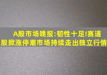 A股市场晚报:韧性十足!赛道股掀涨停潮市场持续走出独立行情