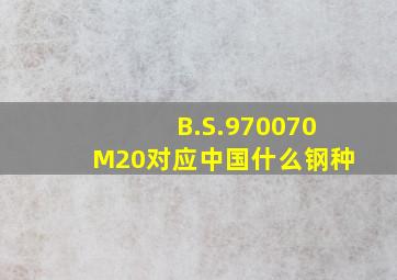 B.S.970070M20对应中国什么钢种