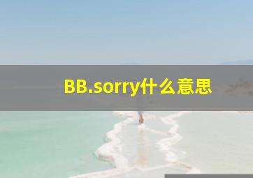 BB.sorry什么意思