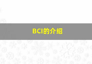 BCI的介绍